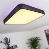 Batamoto Lámpara de Techo LED Negro, Blanca, 2 luces, Mando a distancia, Cambia de color