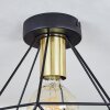 Denno Lámpara de Techo dorado, Negro, 1 luz