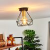 Denno Lámpara de Techo dorado, Negro, 1 luz