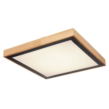 Globo BRUNO Lámpara de Techo LED Blanca, 1 luz