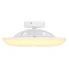 Globo LAFFEE Ventilador de techo LED Blanca, 1 luz