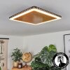 Guacacallo Lámpara de Techo LED dorado, Negro, Blanca, 1 luz