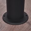 Ruti Poste de Jardín Negro, 1 luz, Sensor de movimiento