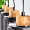Chiuvi Lámpara Colgante Crudo, Negro, 4 luces Chiuvi Lámpara Colgante Crudo, Negro, 4 luces