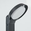 Kelo Poste de Jardín LED Antracita, 1 luz