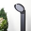 Kelo Poste de Jardín LED Antracita, 1 luz