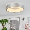 Playas Lámpara de Techo LED Plata, Blanca, 1 luz