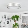 Playas Lámpara de Techo LED Plata, Blanca, 1 luz