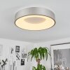 Playas Lámpara de Techo LED Plata, Blanca, 1 luz