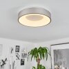 Playas Lámpara de Techo LED Plata, Blanca, 1 luz