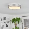 Playas Lámpara de Techo LED Plata, Blanca, 1 luz