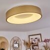 Playas Lámpara de Techo LED dorado, Blanca, 1 luz