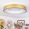 Playas Lámpara de Techo LED dorado, Blanca, 1 luz