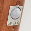Gaborone Aplique para exterior Marrón, Color madera, 1 luz, Sensor de movimiento