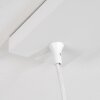 Morrison Lámpara Colgante Blanca, 4 luces