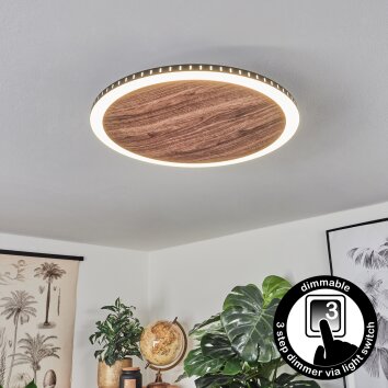 Rocha Lámpara de Techo LED Marrón, Color madera, Negro, 1 luz