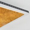 Guacacallo Lámpara de Techo LED dorado, Negro, Blanca, 1 luz