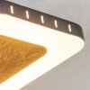 Guacacallo Lámpara de Techo LED dorado, Negro, Blanca, 1 luz