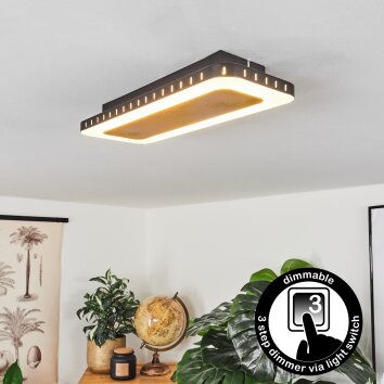 Guacacallo Lámpara de Techo LED dorado, Negro, Blanca, 1 luz