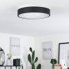 Playas Lámpara de Techo LED Negro, Blanca, 1 luz