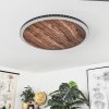 Rocha Lámpara de Techo LED Marrón, Color madera, Negro, 1 luz