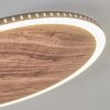 Rocha Lámpara de Techo LED Marrón, Color madera, Negro, 1 luz