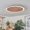 Rocha Lámpara de Techo LED Marrón, Color madera, Negro, 1 luz