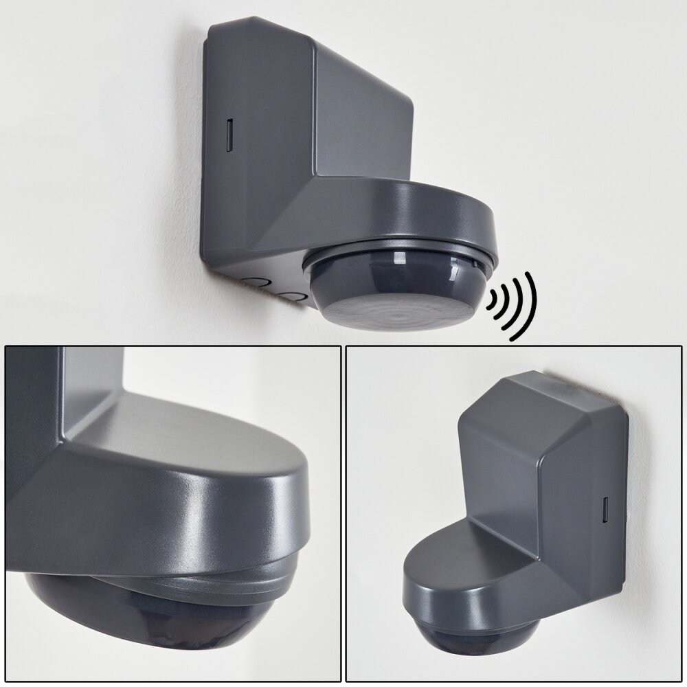 Calambao Detector de movimiento Antracita, Blanca, Sensor de movimiento main product photo