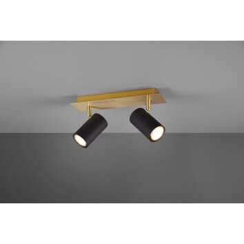 Trio MARLEY Lámpara de Techo Negro-dorado, 2 luces