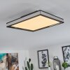 Nabbas Lámpara de Techo LED Negro, 1 luz