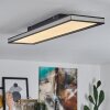 Nabbas Lámpara de Techo LED Negro, 1 luz, Mando a distancia