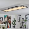 Nabbas Lámpara de Techo LED Negro, 1 luz, Mando a distancia