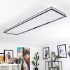 Nabbas Lámpara de Techo LED Negro, Blanca, 1 luz, Mando a distancia