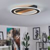 Katila Lámpara de Techo LED Marrón, Negro, 1 luz