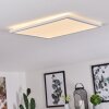 Boyero Lámpara de Techo LED Blanca, 1 luz