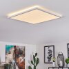 Boyero Lámpara de Techo LED Blanca, 1 luz