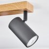 Javel Lámpara de Techo Color madera, Negro, 4 luces
