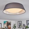 Negio Lámpara de Techo LED Blanca, 1 luz