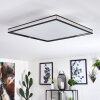 Nabbas Lámpara de Techo LED Negro, 1 luz