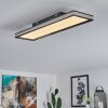 Nabbas Lámpara de Techo LED Negro, 1 luz