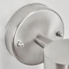 Corneda Aplique para exterior Acero inoxidable, 1 luz