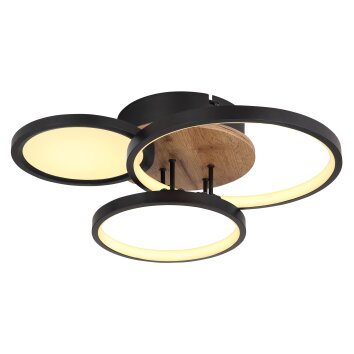 Globo SID Lámpara de Techo LED Color madera, Negro, Blanca, 1 luz