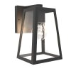 Lutec FIA Aplique para exterior Negro, 1 luz