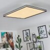 Nabbas Lámpara de Techo LED Negro, 1 luz