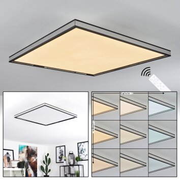 Nabbas Lámpara de Techo LED Negro, Blanca, 1 luz