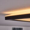 Boyero Lámpara de Techo LED Negro, Blanca, 1 luz