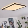 Boyero Lámpara de Techo LED Negro, Blanca, 1 luz