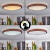 Kelva Lámpara de Techo LED Blanca, 1 luz