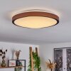 Kelva Lámpara de Techo LED Blanca, 1 luz