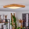 Sobredo Lámpara de Techo LED Blanca, 1 luz